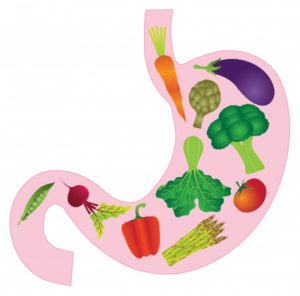 vegetables inside stomach illustrations